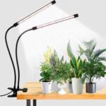 Top 10 Best Grow Lights 2026